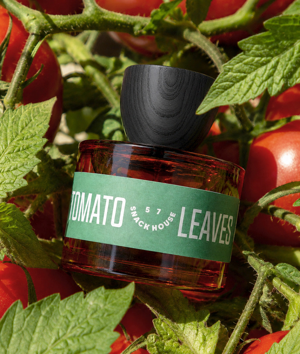 TOMATO LEAVES
